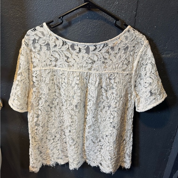 LOFT Cream Lace Blouse Short Sleeve - Picture 4 of 4